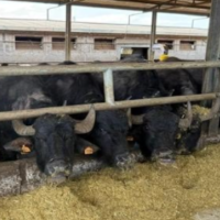 Captura de pantalla 2026-02-19 144243