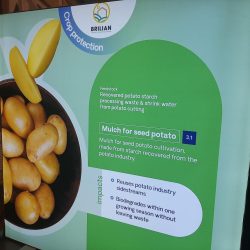 Imagen de prueba   Hola soy una imagen de prueba